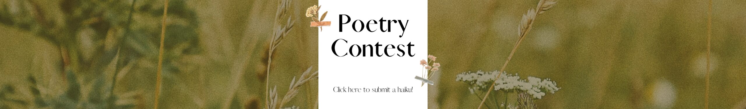 poetry contest banner